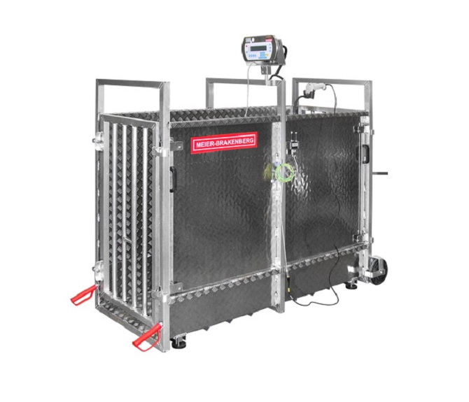 Animal scales - special designs