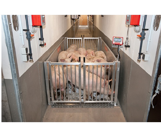 Stationary low-floor animal scales