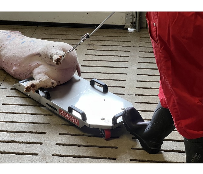 Transporker platform